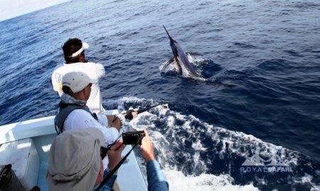 ���������� ��� � �����-����