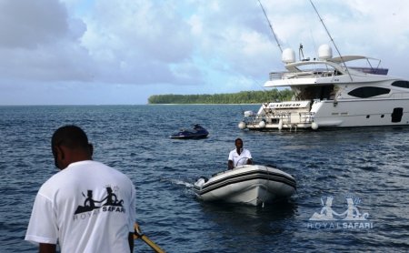 ���������� ��� � �����-����